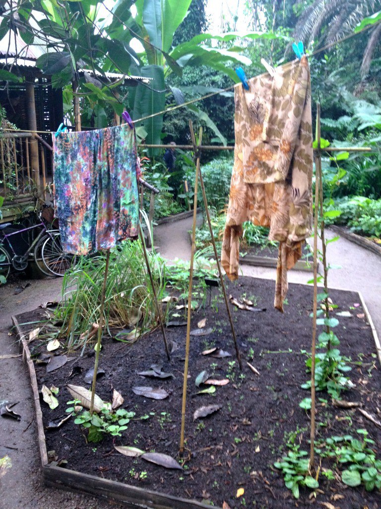 Eden Project, Rain Forest