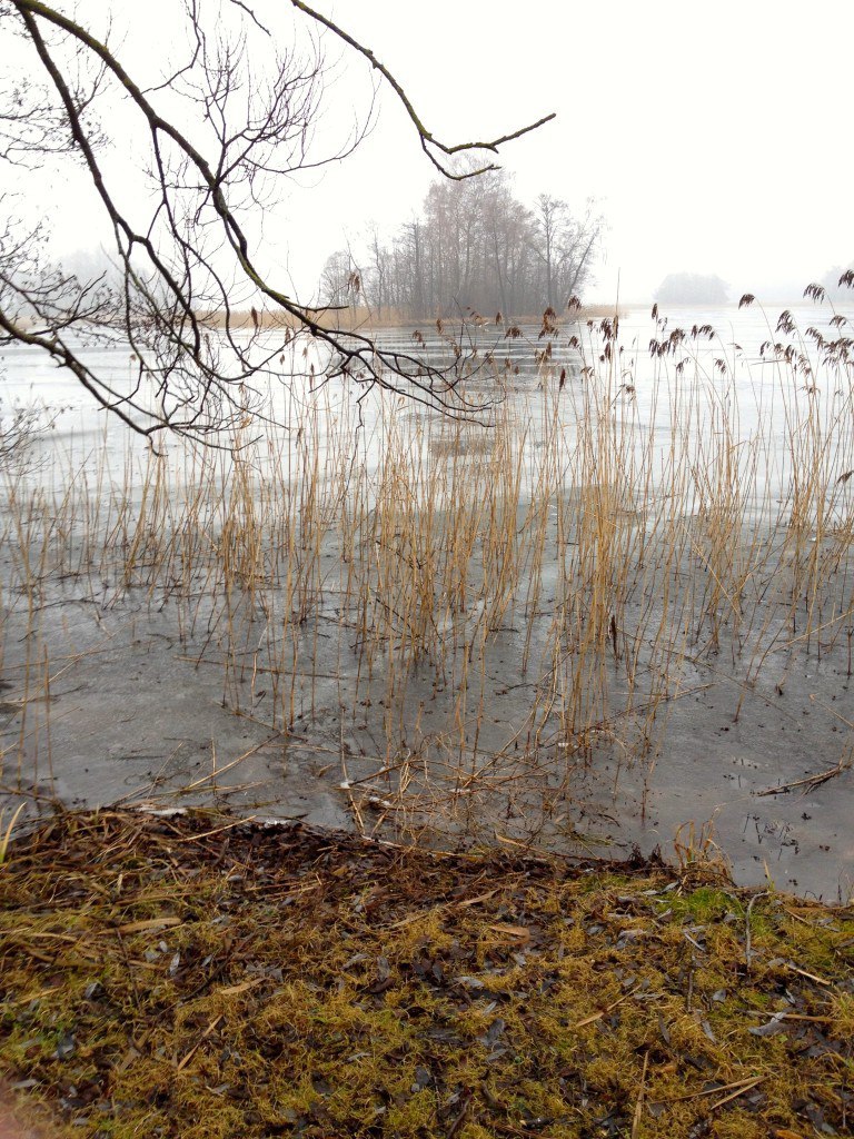 Misty Lithuania, Trakai