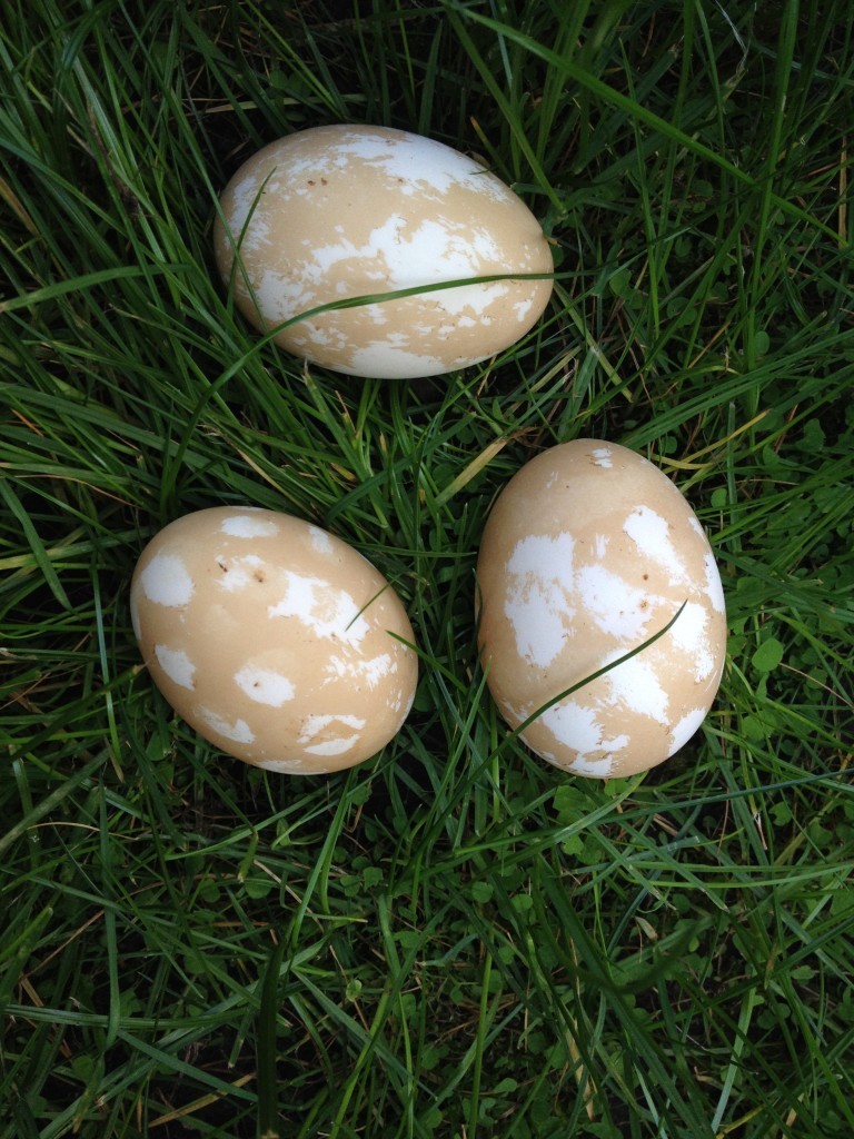 Au naturel Easter eggs