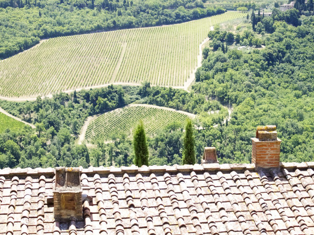 Our honeymoon in Tuscany