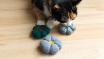 Catnip Flower Toys For Cats