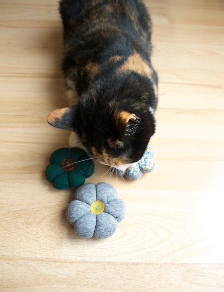 DIY catnip flower toy for cats