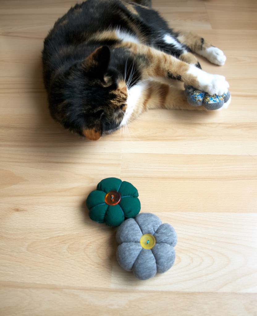 DIY catnip flower toy for cats