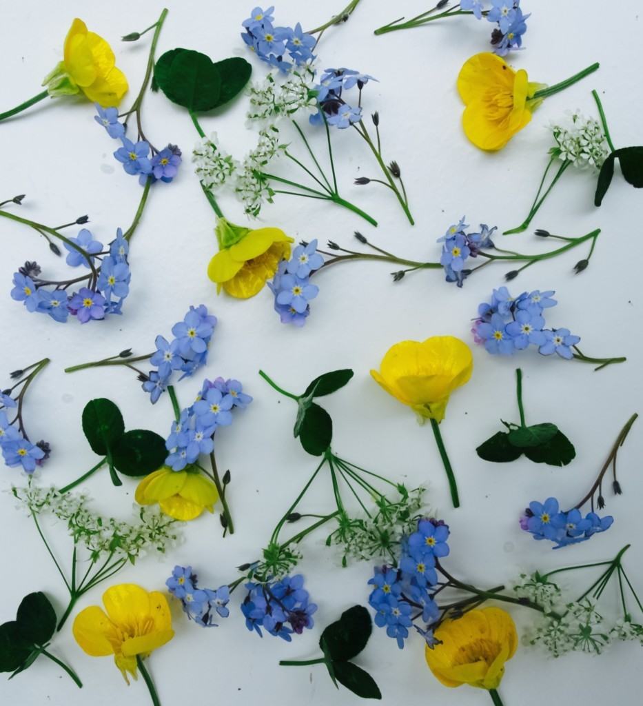 Photography challenge: flower pattern arrangements