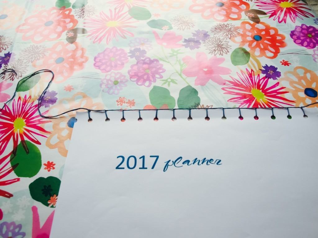 printable 2017 planner/calendar