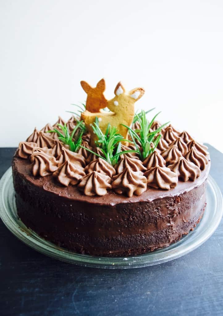 Woodland themed chocolate birthday cake (dairy and gluten free version) recipe